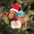 Personalised Sausage Dog Christmas Decoration