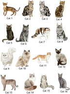 Personalised Cat Image Cat Mum Jumper