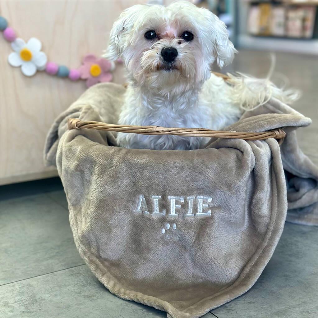 Personalised Pet Blanket