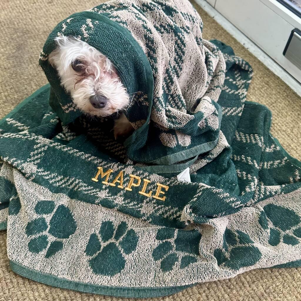 Personalised Jumbo Dog Towel