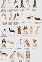 Personalised First Christmas Married Dog Decoration