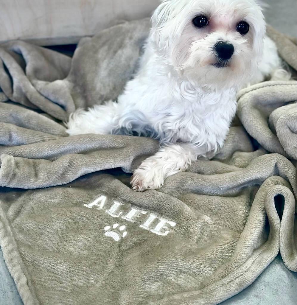 Personalised Pet Blanket