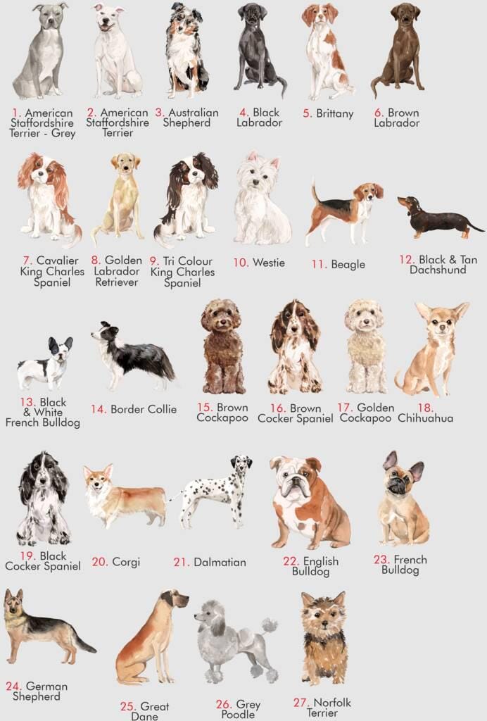 Chart of various dog breeds with images and names on a white background