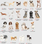 Chart of various dog breeds with their names on a light gray background