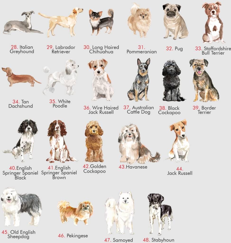 Chart of various dog breeds with their names on a light gray background