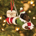 Personalised Sausage Dog Elf Bauble