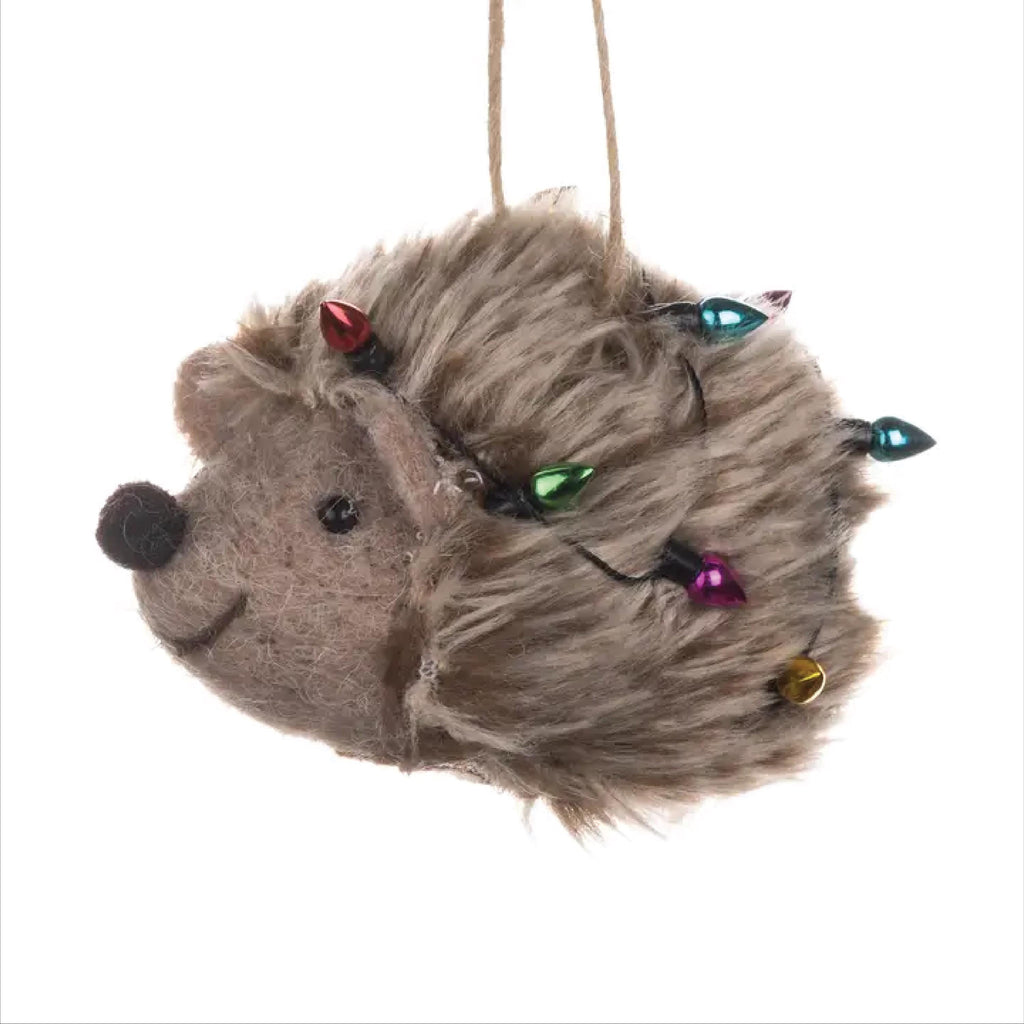 Personalised Hedgehog With Lights Christmas Decoration