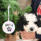 Personalised Pet Pawprint Bauble