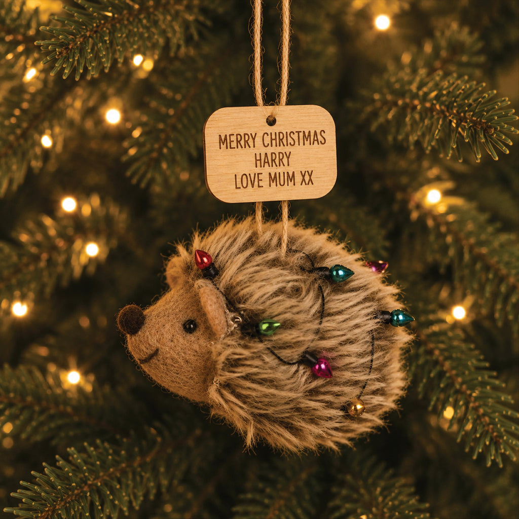 Personalised Hedgehog With Lights Christmas Decoration